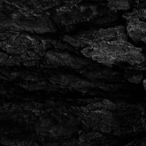 Kaarna - October Falls - Muzyka - DEBEMUR MORTI - 0610585201916 - 23 czerwca 2014