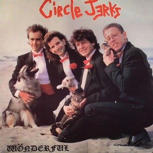 Cover for Circle Jerks · Wonderful (LP) [180 gram edition] (2010)