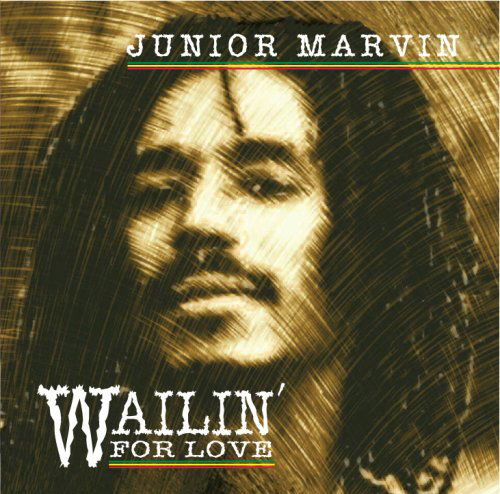 Cover for Junior Marvin · Wailin for Love (CD) (2007)