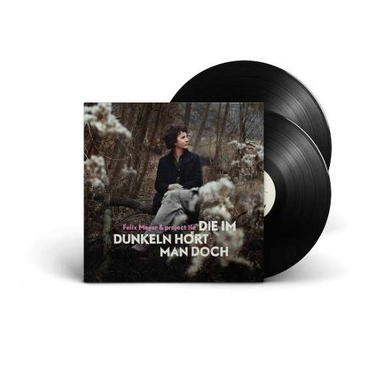 Die Im Dunkeln Hört Man Doch - Felix Meyer - Music - SPV RECORDINGS - 0886922881916 - September 6, 2019