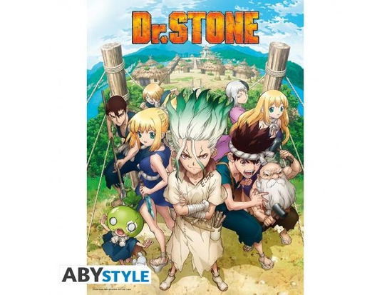 Cover for Kleines Poster · DR STONE - Poster Group (52x38) (MERCH) (2019)