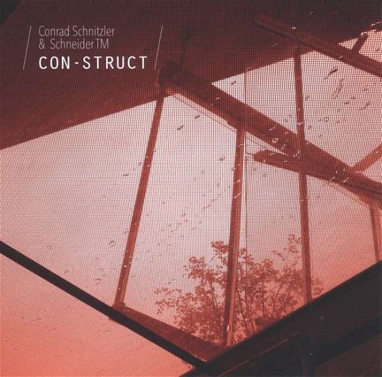 Cover for Schnitzler,conrad / Schneider Tm · Con-struct (LP) (2016)