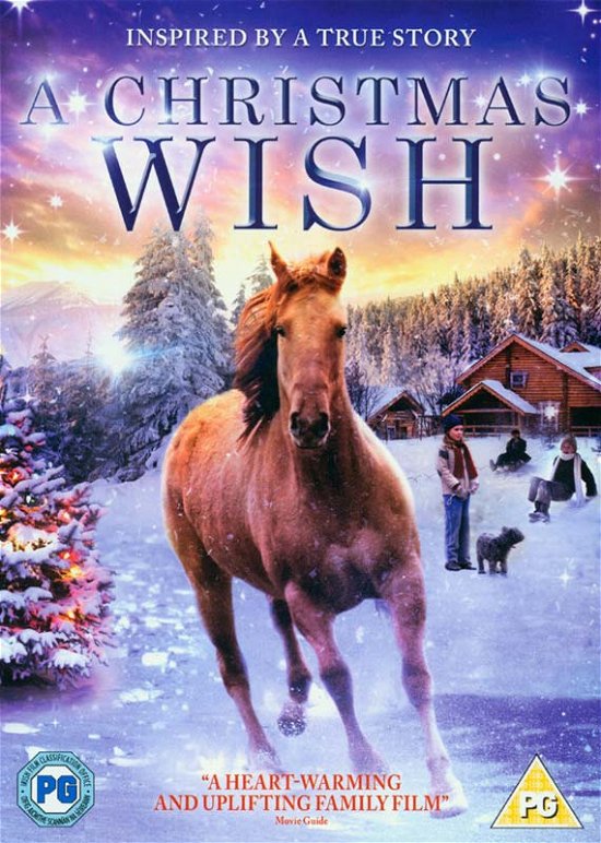 Cover for Christmas Wish · A Christmas Wish (DVD) (2014)