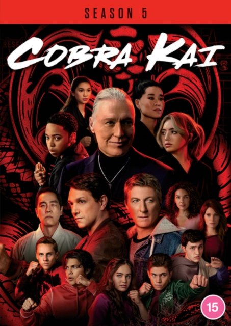 Cobra Kai Season 5 - Cobra Kai  Season 05 - Film - Sony Pictures - 5035822324916 - 2. oktober 2023