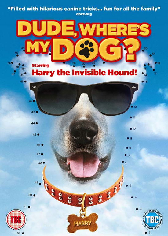 Cover for Stephen Langford · Dude, Where's My Dog? (DVD) (2015)