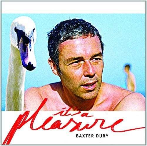 Cover for Baxter Dury · It's a Pleasure (LP) (2020)