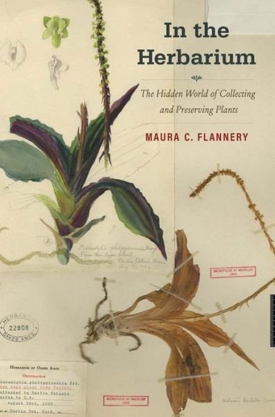 In the Herbarium: The Hidden World of Collecting and Preserving Plants - Maura C. Flannery - Bücher - Yale University Press - 9780300247916 - 25. Juli 2023