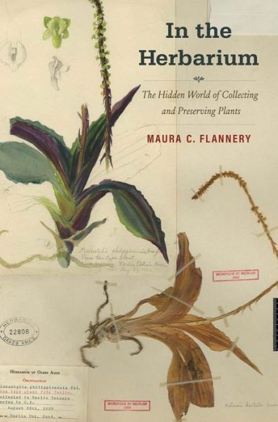 In the Herbarium: The Hidden World of Collecting and Preserving Plants - Maura C. Flannery - Kirjat - Yale University Press - 9780300247916 - tiistai 25. heinäkuuta 2023