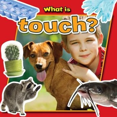 Cover for Lyn Peppas · What is Touch? - Senses Close-Up (Paperback Book) (2013)