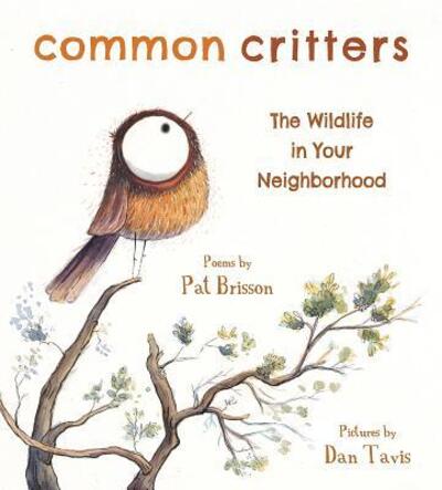 Cover for Pat Brisson · Common Critters: The Wildlife in Your Neighborhood (Hardcover Book) (2020)