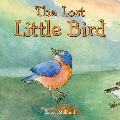 The Lost Little Bird - David McPhail - Books - Henry Holt & Company Inc - 9781250222916 - April 1, 2021