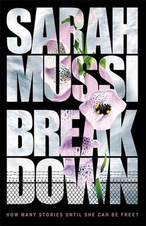 Breakdown - Mussi, Sarah (Teacher) - Books - Hot Key Books - 9781471401916 - October 2, 2014