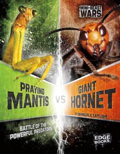 Cover for Alicia Z. Klepeis · Praying Mantis vs Giant Hornet: Battle of the Powerful Predators - Bug Wars (Paperback Book) (2017)