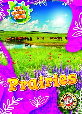 Prairies - Karen Kenney - Książki - Blastoff! Readers - 9781648344916 - 1 sierpnia 2021