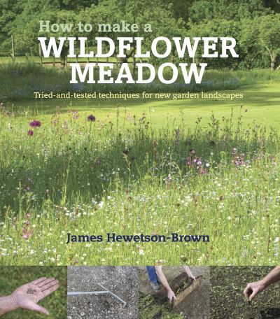 Cover for James Hewetson-Brown · How to make a wildflower meadow: Tried-And-Tested Techniques for New Garden Landscapes (Pocketbok) (2022)