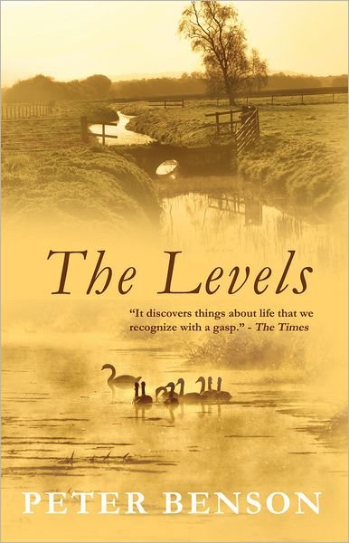 The Levels - Peter Benson - Kirjat - Alma Books Ltd - 9781846881916 - torstai 12. huhtikuuta 2012