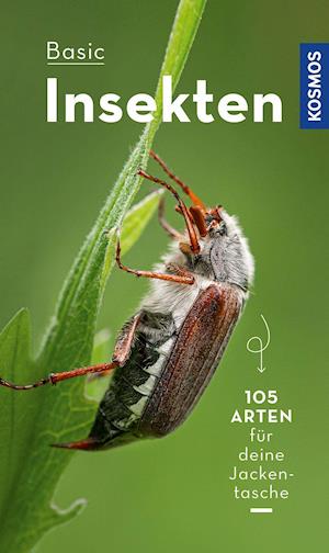 Cover for Roland Gerstmeier · BASIC Insekten (Paperback Book) (2022)