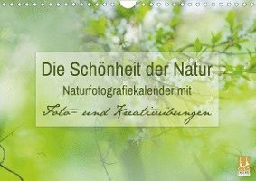 Cover for Mänz · Die Schönheit der Natur - Naturfot (Book)