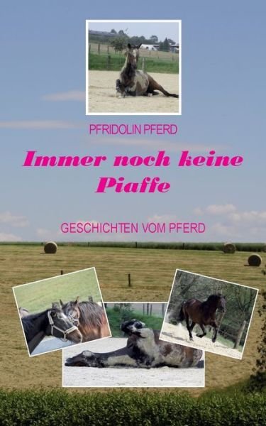 Cover for Pferd · Immer noch keine Piaffe (Book) (2019)