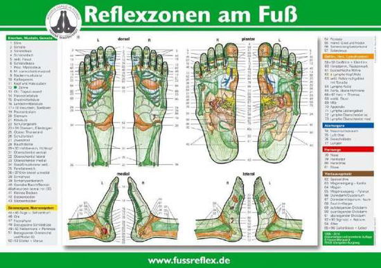 Cover for Marquardt · Reflexzonen am Fuß,Poster (A4) (Book)