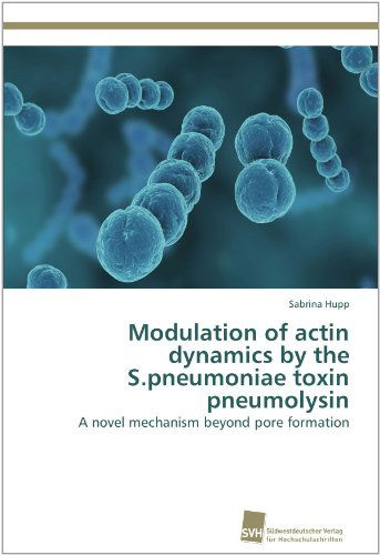 Cover for Sabrina Hupp · Modulation of Actin Dynamics by the S.pneumoniae Toxin Pneumolysin: a Novel Mechanism Beyond Pore Formation (Paperback Book) (2012)