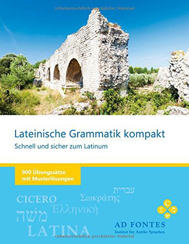 Cover for Lucius Annaeus Senecio · Lateinische Grammatik Kompakt (Paperback Book) [German edition] (2014)