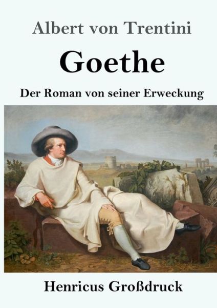 Cover for Albert von Trentini · Goethe (Grossdruck) (Paperback Book) (2019)