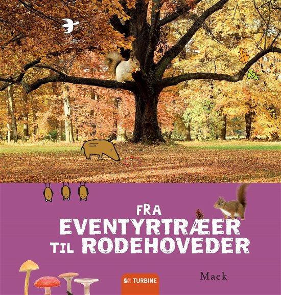 Cover for Mack · Fra eventyrtræer til rodehoveder (Indbundet Bog) [1. udgave] [Indbundet] (2014)