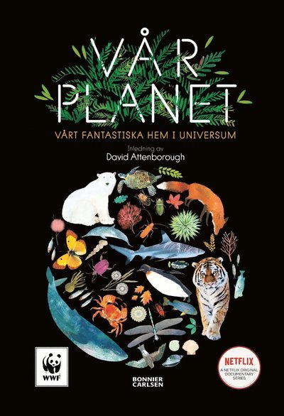 Cover for Matt Whyman · Vår planet : vårt fantastiska hem i universum (Inbunden Bok) (2020)