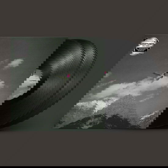 Melt Away - Bardo Pond - Música - MATADOR - 0191401177917 - 25 de outubro de 2024