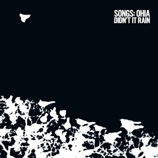 Cover for Songs: Ohia · Didn't It Rain (LP) [Deluxe edition] (2014)