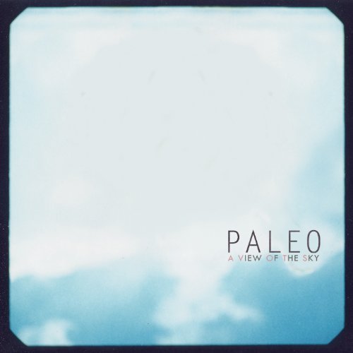 Cover for Paleo · A View of the Sky (LP) (2010)