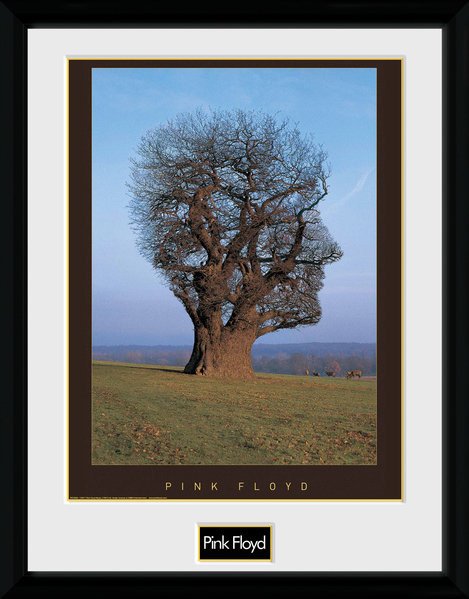 Cover for Pink Floyd · Pink Floyd: Tree (Stampa In Cornice 30x40cm) (Leketøy)