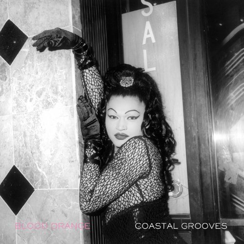 Cover for Blood Orange · Coastal Grooves (LP) (2011)