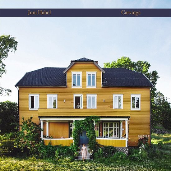 Cover for Juni Habel · Carvings (LP) (2023)