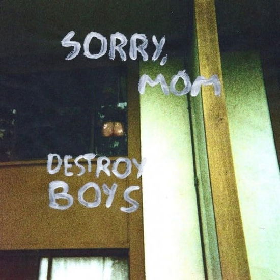 Cover for Destroy Boys · Sorry, Mom (LP) [Reissue edition] (2024)