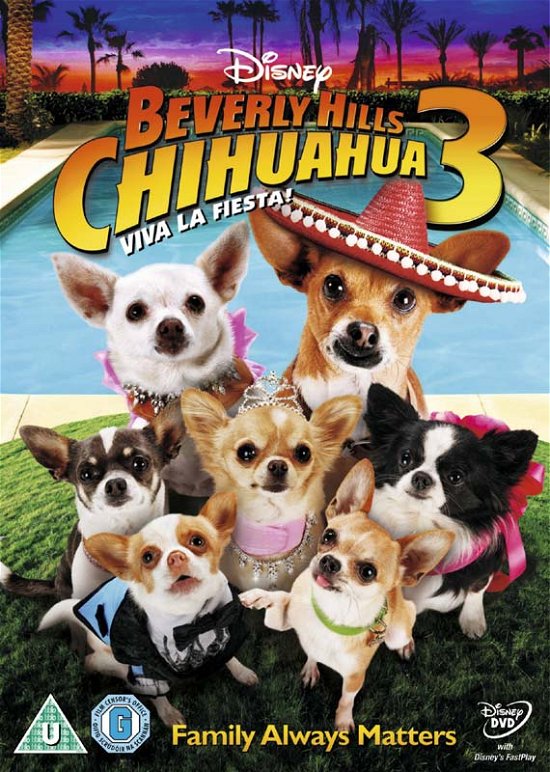 Cover for Beverly Hills Chihuahua 3  Viva La Fiesta · Beverly Hills Chihuahua 3 - Viva La Fiesta (DVD) (2012)
