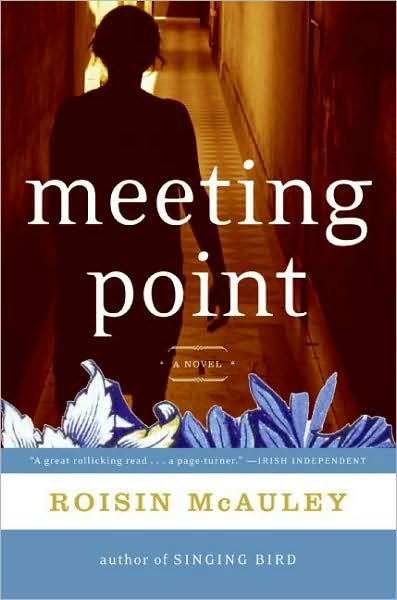 Cover for Roisin Mcauley · Meeting Point: a Novel (Pocketbok) (2017)