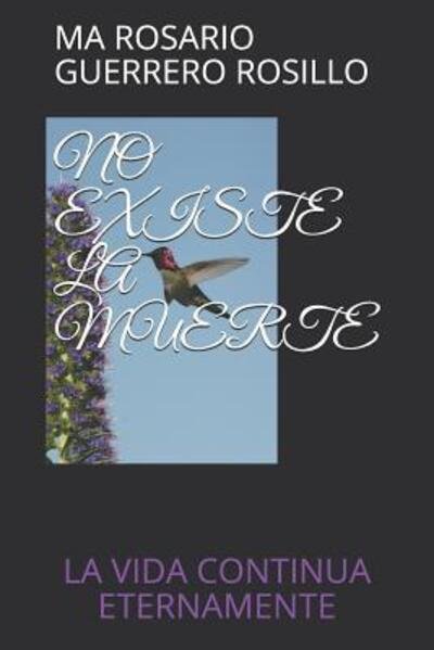 Cover for Ma Rosario Guerrero Rosillo · No Existe La Muerte (Paperback Book) (2019)