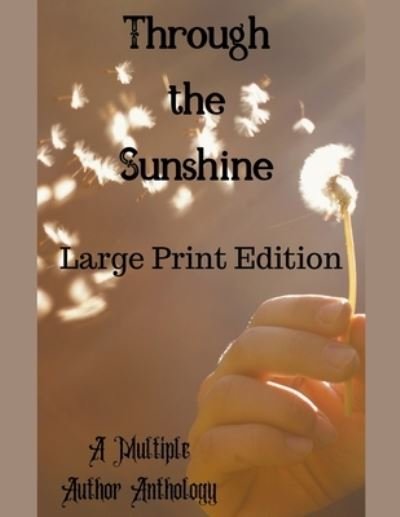 Cover for Deedra Nichole · Through the Sunshine Large Print (Pocketbok) (2020)