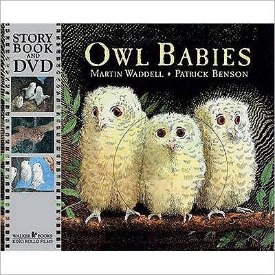 Cover for Martin Waddell · Owl Babies (Innbunden bok) (2009)