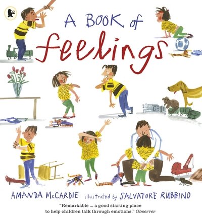 Cover for Amanda McCardie · A Book of Feelings (Taschenbuch) (2016)