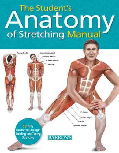 Cover for Dr. Ken Ashwell · The Student's Anatomy of Stretching Manual: 50 Fully-illustrated Strength Building and Toning Stretches (Paperback Book) (2014)