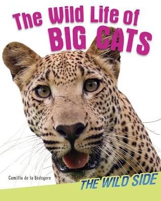 Cover for Camilla De La Bedoyere · The Wild Life of Big Cats (Paperback Bog) (2014)