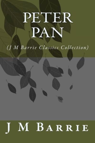 Cover for James Matthew Barrie · Peter Pan: (J M Barrie Classics Collection) (Pocketbok) (2014)