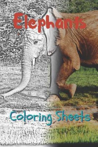 Cover for Julian Smith · Elephant Coloring Sheets (Pocketbok) (2019)