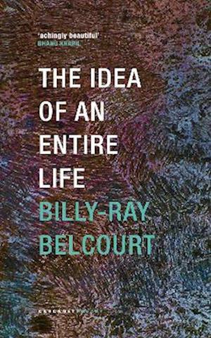 Cover for Billy-Ray Belcourt · The Idea of an Entire Life (Paperback Book) (2025)