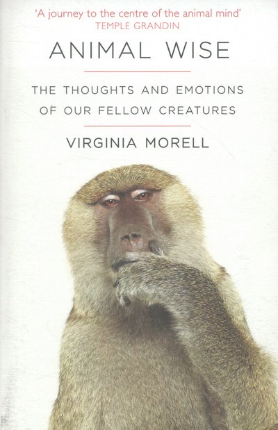 Cover for Virginia Morell · Animal Wise: The Thoughts and Emotions of Animals (Paperback Book) (2013)