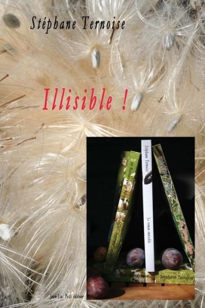 Cover for Stephane Ternoise · Illisible ! (Paperback Book) (2015)