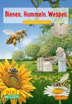 Oftring:bienen, Hummeln, Wespen - Oftring - Kirjat -  - 9783551241917 - 